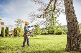 Best Landscape Design and Installation  in Westwood, KY